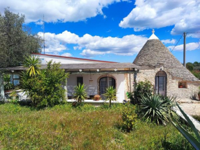 Trullo il Zippo in Zippitello Alberobello